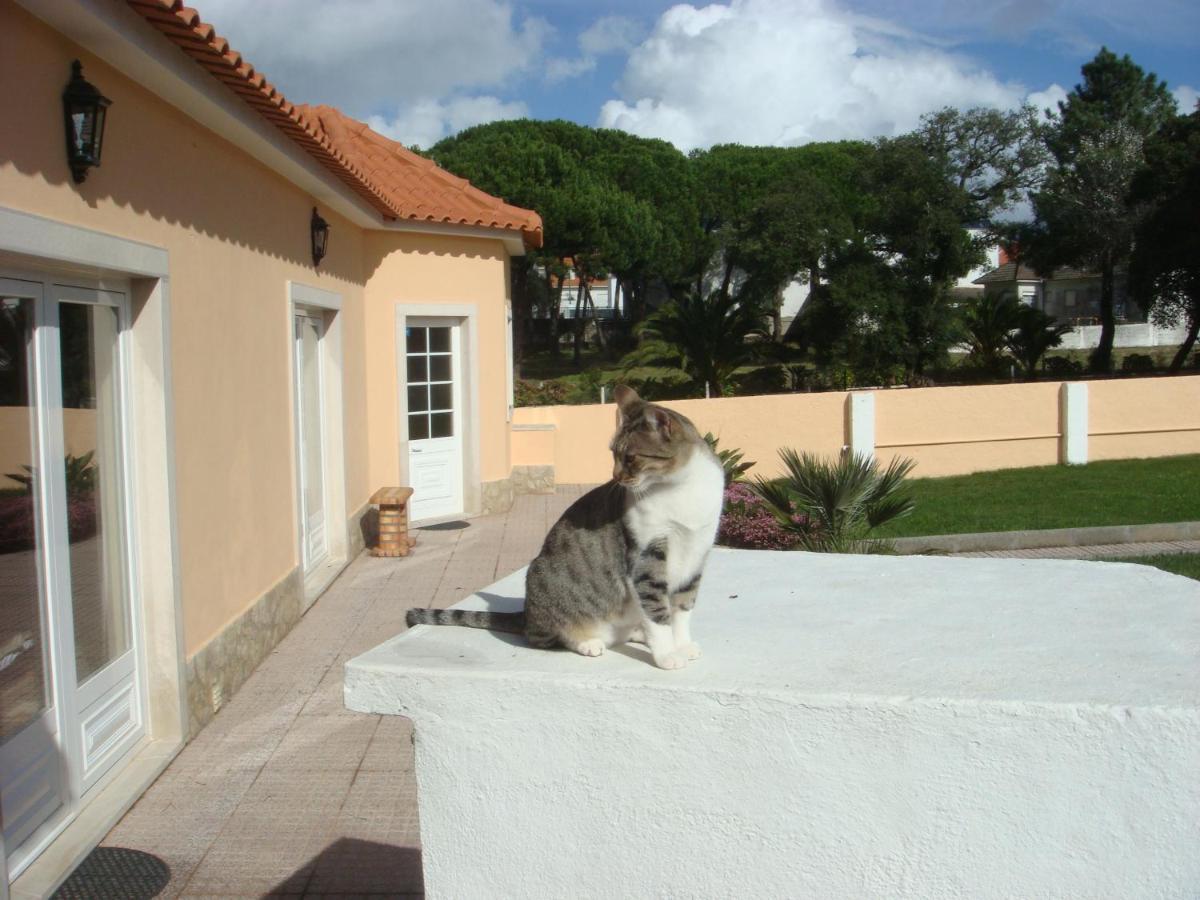 Casa De Hospedes Flor Do Jardim Malveira Dış mekan fotoğraf