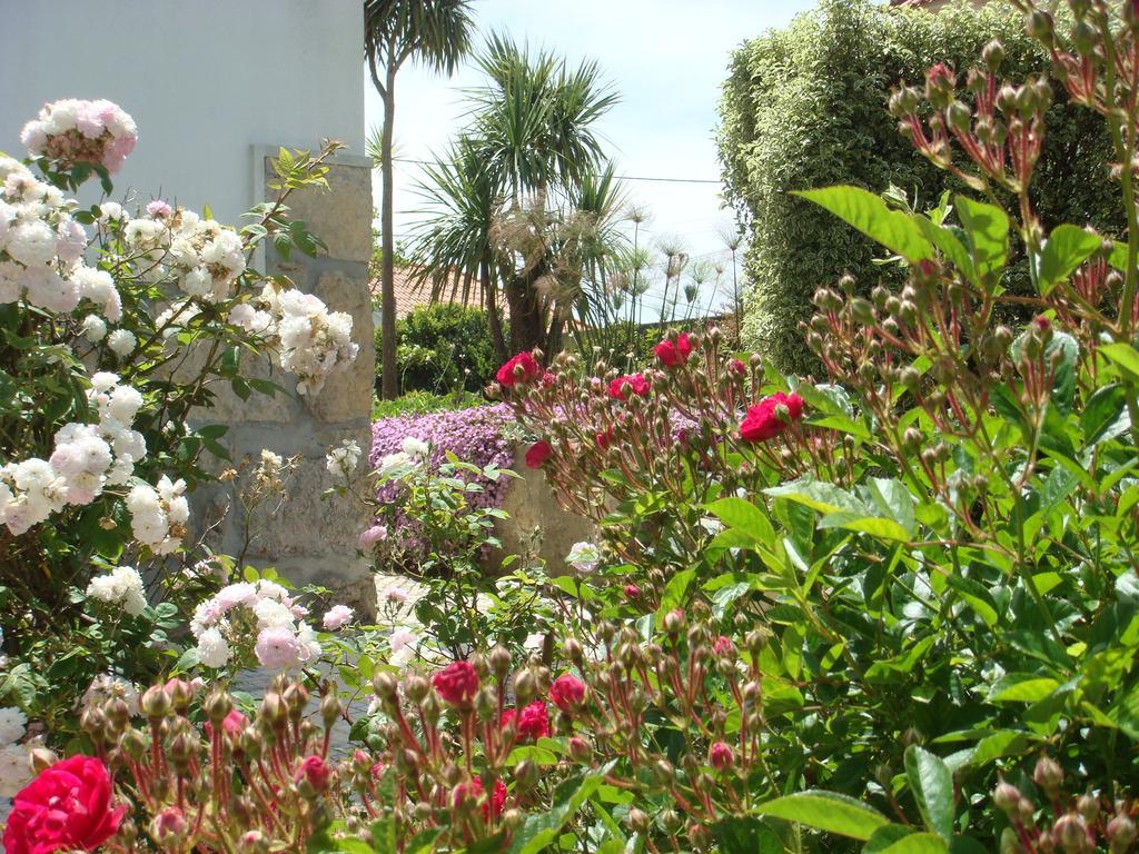 Casa De Hospedes Flor Do Jardim Malveira Dış mekan fotoğraf